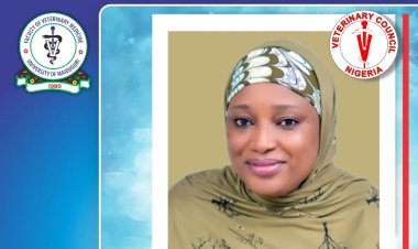 University of Maiduguri Celebrates Dr. Halima I. Gambo's Election as Vice-President of Veterinary Council of Nigeria