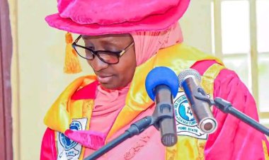 Provost of College of Nursing Sciences Damaturu Receives Merit Award