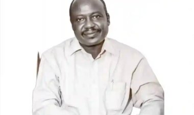 University of Maiduguri Appoints Professor Ibrahim Iliya as Director of Research