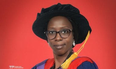 FUTA, Cardiff Metropolitan University Secure British Council Grant for STEM Project