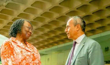 UNILAG Vice-Chancellor Hosts French Ambassador, Strengthens Ties for More Collaborations