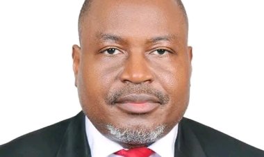 University of Abuja Professor Titus Sunday Ibekwe Elected Chair of Research and Innovation at COMS-A