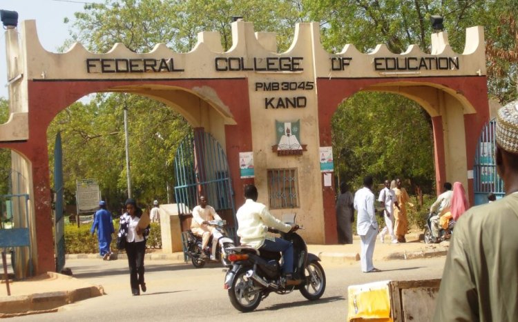 Federal University of Education, Kano Releases First Batch of PGDE Admission List in Affiliation with University of Maiduguri