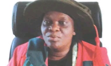 Nigeria First Female Professor of Statistics Criticizes Government