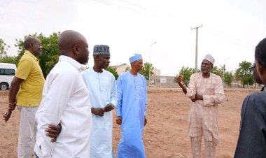 NIRSAL Partners with Modibbo Adama University on Large-Scale Cattle Fattening Project