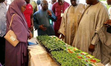 ATBU Students Appreciate CASSCADE and Easy West Seeds International