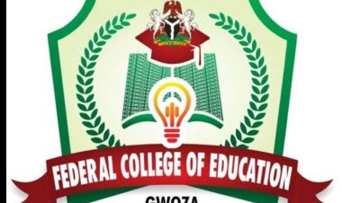 Federal College of Education Gwoza Announces Job Vacancies