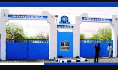 Activista Yola Condemns Adamawa State Polytechnic Treatment of Students