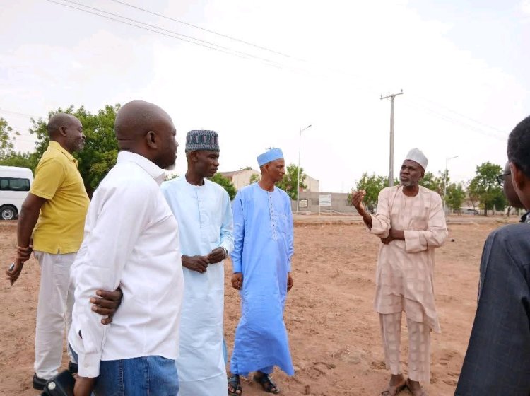 NIRSAL Partners with Modibbo Adama University on Large-Scale Cattle Fattening Project