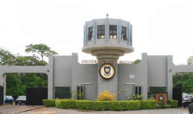 University of Ibadan professor, Oladapo Okareh Calls for Stricter Implementation of Intellectual Property Laws