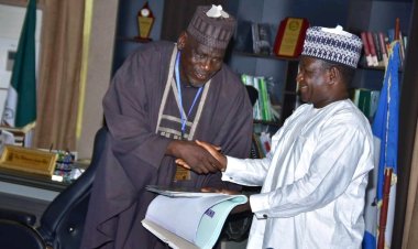 University of Maiduguri Partners with Borno State Agency for Great Green Wall on Smart Agriculture Initiative