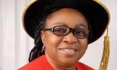 National Open University of Nigeria to Host Exaugural Lecture