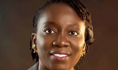 Bayero University Promotes Taiwo Gboluwaga Amole to Professor of Public Health