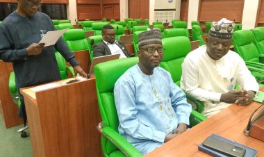 Adamawa State University VC Prof. Augustine Clement Engages with House Committee on Education
