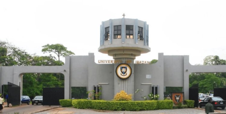 University of Ibadan professor, Oladapo Okareh Calls for Stricter Implementation of Intellectual Property Laws