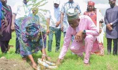 University Of Abuja Commemorates World Environment Day with Tree Planting Exercise