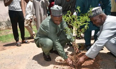 Ahmadu Bello University Celebrates World Environmental Day 2025