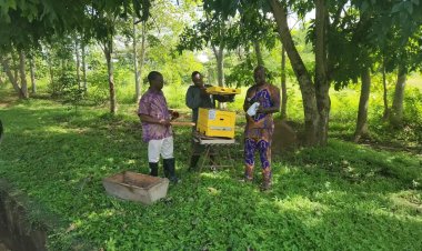 FUNAAB Beekeepers Embark on Bush Exercise to Boost Honey Production