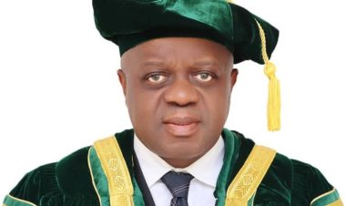 Meet Sen. Dr. Olanrewaju Tejuoso, University of Abuja Pro-Chancellor and Council Chairman
