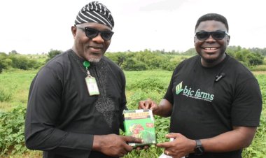 FUNAAB Hosts Workshop on Hydroponic Technology Under EU-Sponsored AGRECOFARM Project