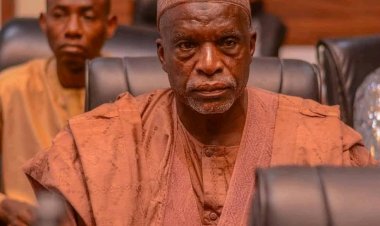 Professor S. G. Ngulde Appointed Deputy Vice Chancellor at Borno State University