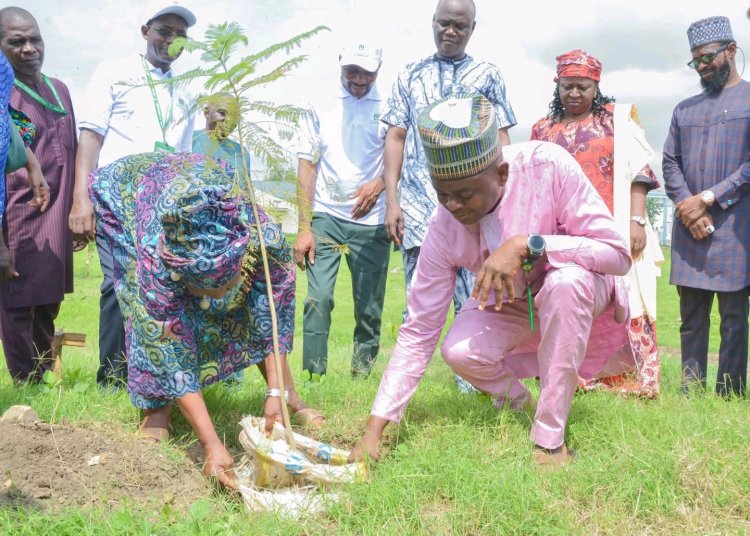 University Of Abuja Commemorates World Environment Day with Tree Planting Exercise
