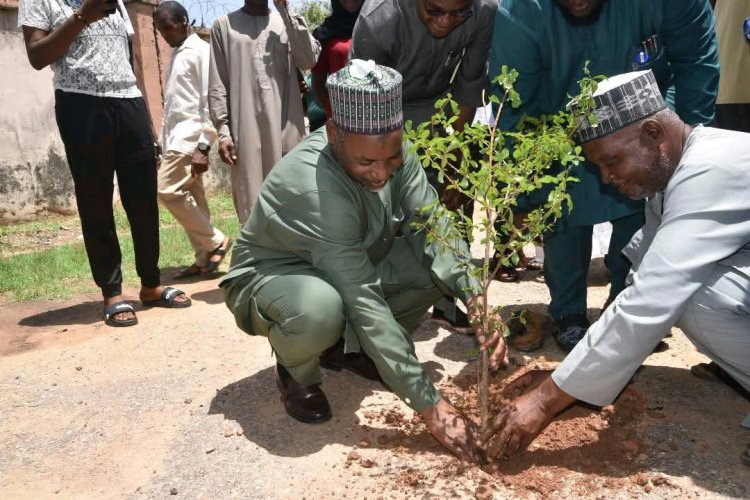 Ahmadu Bello University Celebrates World Environmental Day 2025