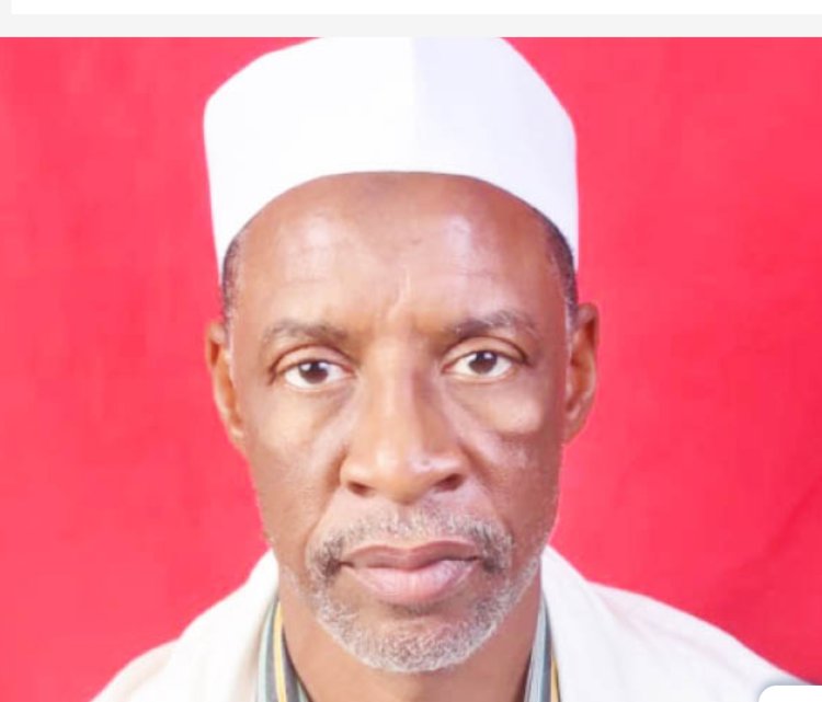 Professor Kamilu Sani Fagge Appointed to Research Advisory Board at BUK