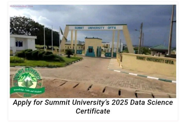 Summit University Offers Certificate Course in Data Science
