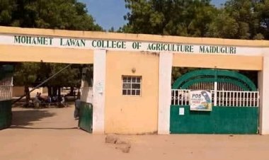 Mohamet Lawan College of Agriculture, Maiduguri Announces Job Opportunity for Academic Staff
