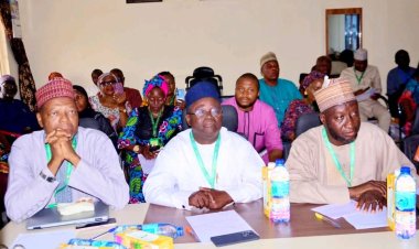 FULafia Dean Represents Vice-Chancellor at Centre for Cultural Studies Webinar