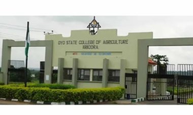Oyo State College of Agriculture and Technology Embroiled in Indefinite Strike Over Delayed Salaries