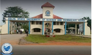 Delta State Government Attributes Industrial Harmony to Better Pay and Well-Funded Academic Environment