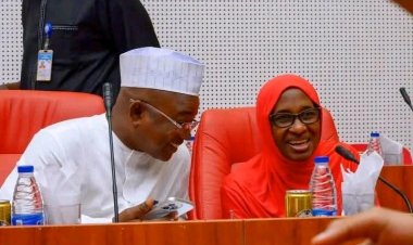 NSUK VC Prof. Sa'adatu Hassan Liman Delivers Keynote at Nigeria-Sweden Summit