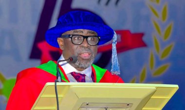 UI Professor Calls for Mental Game Clinics in Tertiary Institutions