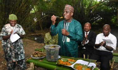 From Roots to Innovation, FUNAAB Lights Up Bulbs with Bamboo, Celebrates Aadun at Indigenous Knowledge Launch