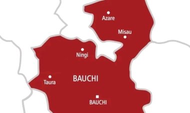 Bauchi Principal, Senior Teacher Demoted for Selling School Property