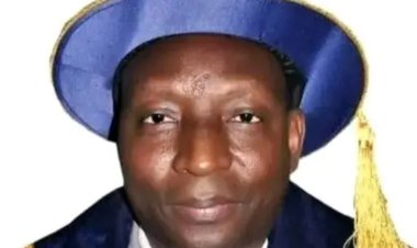 Meet Professor Mohammed Bukar, A Distinguished Nigerian Academic and Medical Expert