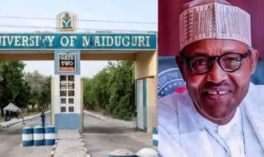University of Maiduguri Renaming Sparks Controversy