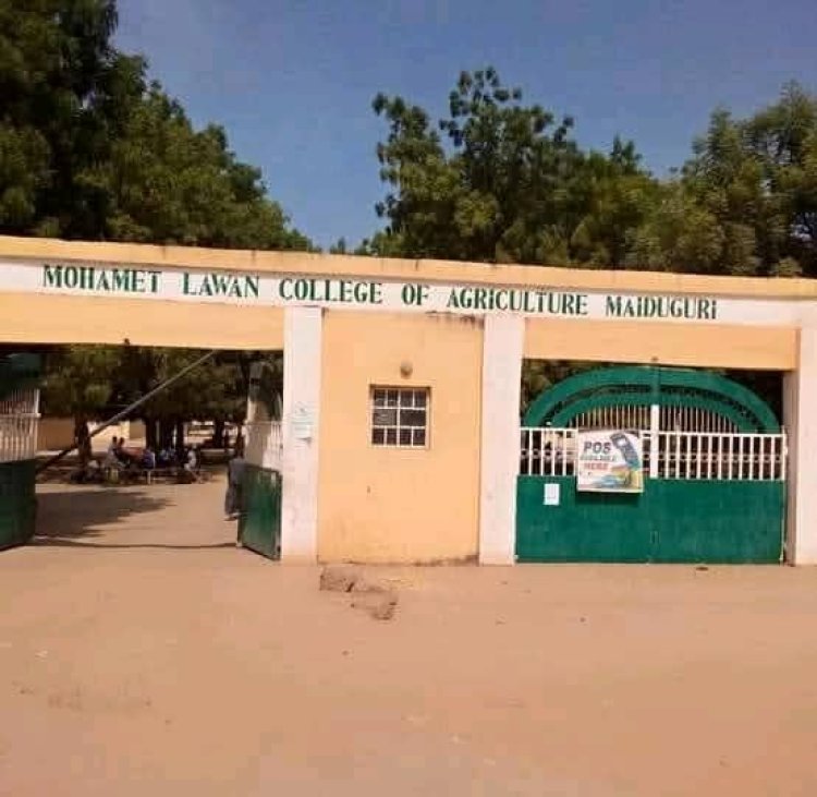 Mohamet Lawan College of Agriculture, Maiduguri Announces Job Opportunity for Academic Staff