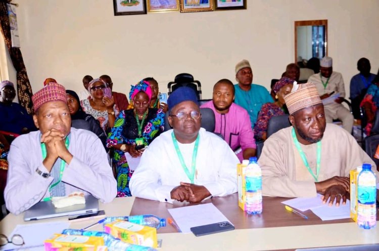 FULafia Dean Represents Vice-Chancellor at Centre for Cultural Studies Webinar