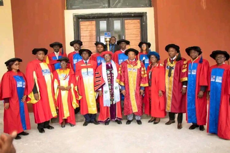 McPherson University Vice-Chancellor Calls for Government Action to Curb Nurse Migration