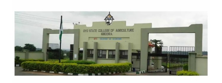 Oyo State College of Agriculture and Technology Embroiled in Indefinite Strike Over Delayed Salaries