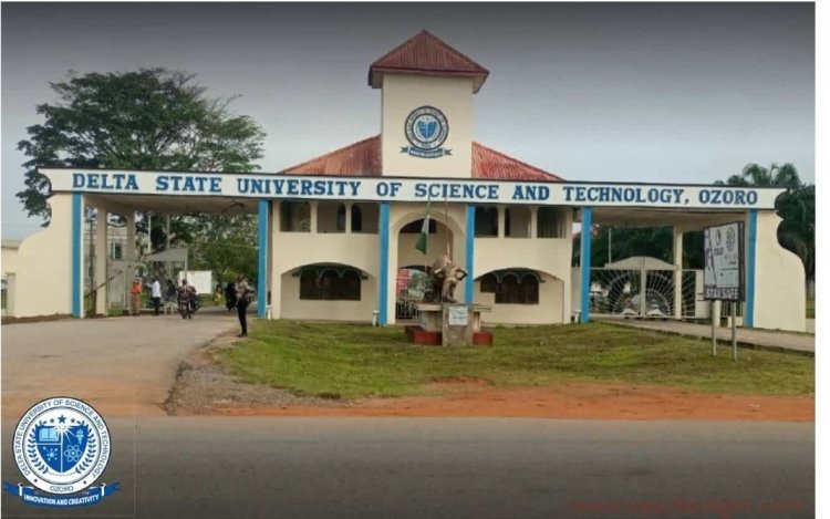 Delta State Government Attributes Industrial Harmony to Better Pay and Well-Funded Academic Environment
