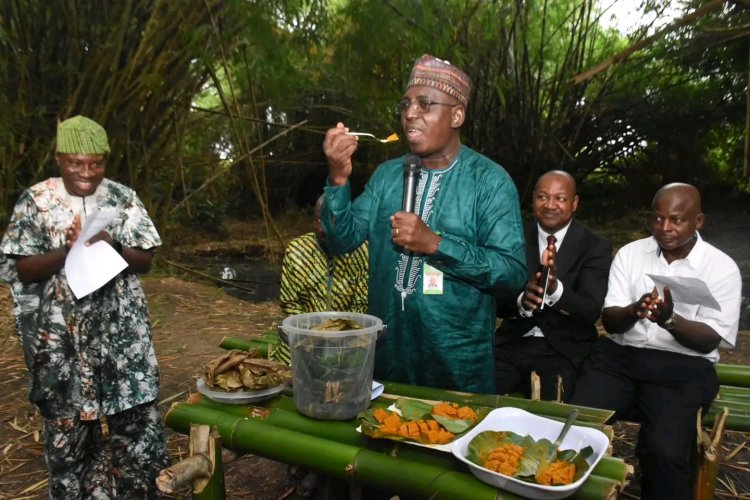From Roots to Innovation, FUNAAB Lights Up Bulbs with Bamboo, Celebrates Aadun at Indigenous Knowledge Launch