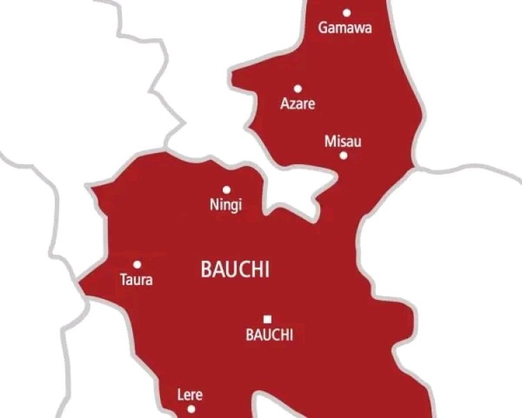 Bauchi Principal, Senior Teacher Demoted for Selling School Property