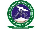 AE-FUNAI Elevates 10 Academics to Professors, 20 to Readers