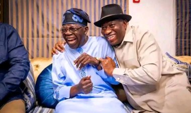 President Bola Ahmed Tinubu Academic Credentials and Election History Scrutinized