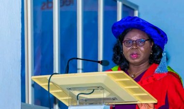 UI Don Advocates Practical-Oriented Chemistry Curriculum in Nigerian Educational System