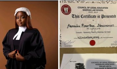 Martha Amedu Emerges as Top Performer in 2024 Nigerian Law School Bar Finals